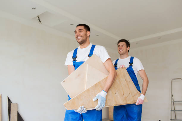 Best Carpet Removal and Disposal  in Anna, IL